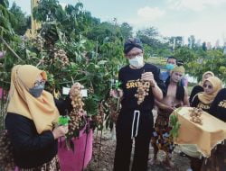 Bupati Magetan Suprawoto Resmi Melaunching Kebun Buah Srogo