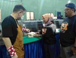 Rabbit Show 4 Kabupaten Magetan di Desa Krowe Diikuti Ratusan Peserta