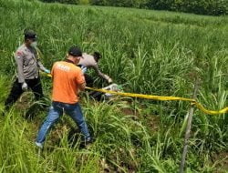 Geger Penemuan Mayat Mr.X di Mojopurno, Ini Ciri-ciri Korban