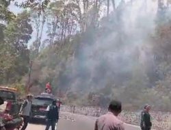 Kebakaran Hutan di Gunung Lawu Mulai Mendekati Wisata Lawu Green Forest