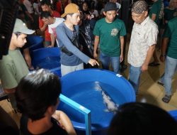 Bupati Magetan Cup Koi Show Kembali Digelar, Penyemangat Peternak Koi Magetan