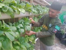 Kombinasi Hidroponik dan Bioflok, Cara Pemuda Magetan Ini Jaga Ketahanan Pangan