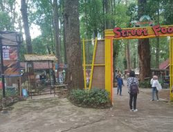 Benahi Sarpras, Mojosemi Forest Park Siap Sambut Wisatawan di Libur Nataru