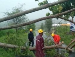 Hujan Disertai Angin di Magetan, Sebabkan Puluhan Pohon Tumbang dan Satu Rumah Tertimpa Longsor