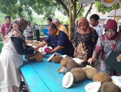Promosikan Durian Lokal, Pemdes Plangkrongan Menggelar Festival Durian