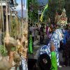 Seni Barongsai dan Reog, Meriahkan Tradisi Unik “Wisata Ketupat” di Kampung NU Magetan