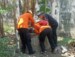 BPBD Turun dan Berhasil Evakuasi Kucing, Direktur DPD LPKN : Saya Ucapkan Terima Kasih