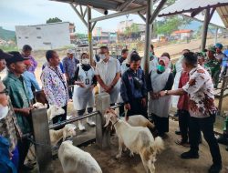 Wabah PMK Ancam Ekonomi Peternak, Disnakan Magetan Perketat Pengawasan dan Vaksinasi