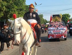 Berkuda Putih, Ketua PSHT Rayon Belotan Bersama Ratusan Warga Ikuti Karnaval HUT Kemerdekaan RI