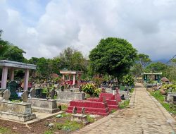 Demi Perluasan Makam, Pemdes Sidokerto Jual Puluhan Pohon Kamboja