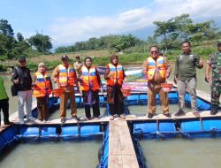 Dorong Ketahanan Pangan dan Wisata Lokal, BUMdes Terung Mulai Tebar Ikan di Keramba Embung Sidomas