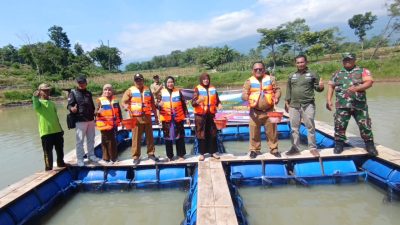 Dorong Ketahanan Pangan dan Wisata Lokal, BUMdes Terung Mulai Tebar Ikan di Keramba Embung Sidomas