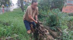Sumbatan Sampah Picu Banjir di Ngariboyo, Wakil Bupati Magetan Turun Tangan Bersihkan Selokan