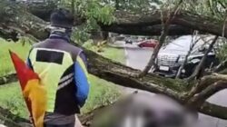 Pohon Tumbang di Jalan Raya Bayemtaman Magetan, Satu Warga Tewas, Dua Luka-Luka