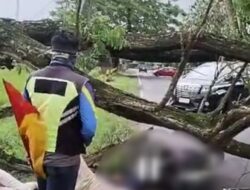 Pohon Tumbang di Jalan Raya Bayemtaman Magetan, Satu Warga Tewas, Dua Luka-Luka