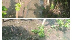 Warga Ngariboyo Keluhkan Bau Limbah Rumah Potong Hewan, Harapkan Solusi Bersama