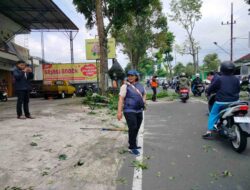 Diana Sasa Kawal Langsung Pemangkasan Pohon Rawan Tumbang di Jalur Magetan–Sarangan