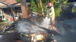 Lupa Matikan Perapian, Tujuh Ekor Kambing di Maospati Magetan Hangus Terpanggang