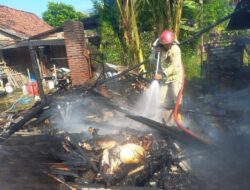 Lupa Matikan Perapian, Tujuh Ekor Kambing di Maospati Magetan Hangus Terpanggang