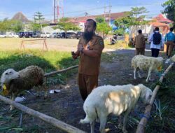 Pemkab Magetan Salurkan 44 Hewan Qurban, 40 Ekor Kambing 4 Ekor Sapi