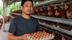 Asosiasi Peternak Petelur Nasional Magetan bersama Peternak Layer Apresiasi Langkah Cepat Pemkab Magetan