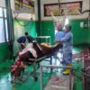 Pemeriksaan Ketat dari Awal hingga Akhir di RPH, Disnakan Magetan Pastikan Kualitas Qurban Terjamin