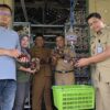 Dorong Ketahanan Pangan, Kecamatan Kawedanan Apresiasi Panen Jamur Kuping BUMDesa Tumuju Tulung