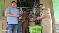 Dorong Ketahanan Pangan, Kecamatan Kawedanan Apresiasi Panen Jamur Kuping BUMDesa Tumuju Tulung