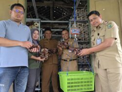 Dorong Ketahanan Pangan, Kecamatan Kawedanan Apresiasi Panen Jamur Kuping BUMDesa Tumuju Tulung