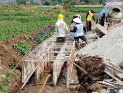 P3-TGAI Desa Sidokerto Diduga Tanpa Pondasi, Kades: Pekerjaan Sudah Sesuai RAB TPM
