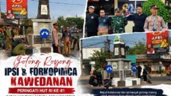 Peringati HUT RI ke-81, Forkopimca Kawedanan dan IPSI Gotong Royong Cat Tugu Garuda