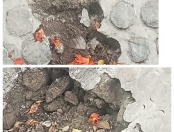 Kualitas Tambal Sulam DI Jejeruk Disorot, BBWS Bengawan Solo Didesak Evaluasi Proyek